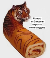 low_res вкусно всрато долбоебизм жвотне жопа за_дупу рулет рыжий сладкий_рулет смехуёчки смотрит_в_камеру тигар тигр фотожаба я_знаю_ти_бажаешь_вкусить_мене_за_дупу я_знаю_ты_хочешь_укусить_меня_за_попу язык:украинский // 508x600 // 151KB