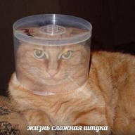 cd dvd диск жвотне жизнь_сложная_штука контейнер коробка коробка_от_дисков кот крышка крышка_на_голове крышка_от_упаковки_дисков на_голове рыжий смехуёчки упаковка шрифт_лобстер язык:русский // 391x390 // 67KB