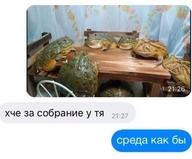 легущька смехуёчки среда среда_как_бы че_за_собрание_у_тебя язык:русский // 1238x1028 // 242KB
