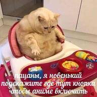 аниме_включить въетнамские_мультики где_тут_кнопка жвотне жирный кот куда_нажать куда_нажать_чтобы_было_хорошо пацаны подскажите смехуёчки стол шрифт_лобстер я_новенький язык:русский // 500x500 // 49KB