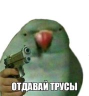 low_res всрато жвотне медаль_за_сжатие_джэйпега ограбление отдавай_трусы пистолет попугай птица смехуёчки труселя язык:русский // 556x600 // 29KB