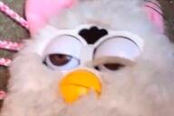 furby low_res взгляд всрато заёб игрушка прикрытые_глаза смехуёчки // 590x392 // 46KB
