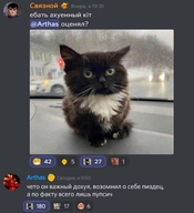 важный возомнил_о_себе_пиздец всего_лишь ебать_охуенный_кiт жвотне кот личность:виталий_цаль мат оценял по_факту пупсич смехуёчки хуй_бумажный чето_он_важный_дохуя чмоня язык:русский язык:украинский // 1460x1600 // 303KB