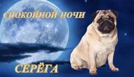 tagme-нужен_алиас жвотне мопс серега смехуёчки собакен спокойной_ночи язык:русский // 600x348 // 33KB