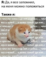 всрато да_я_всё_запомнил жвотне забыл кот котёнок на_меня_можно_положиться смехуёчки так_же_я что_же_я_хотел_сделать что_жи_я_хотев я_забыл я_что-то_хотел_сделать я_что-то_хотел_сделот я_шота_хотев_зделот язык:русский // 559x700 // 74KB