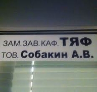 ав аф гав жалюзи зав зам заместитель_заведующего_кафедры_теоретической_ядерной_физики_товарищ_собакин_а_в каф комбо смехуёчки собакин_а_в табличка тов тяф язык:русский // 231x219 // 13KB
