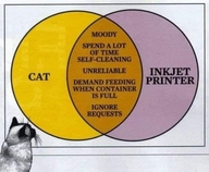 demand_feeding_when_container_is_full ignore_requests inkjet_printer moody spend_a_lot_of_time_self-cleaning unreliable дай_пожрать диаграмма жвотне капризность кот круги ненадёжность принтер принтер_(струйный) просит_есть_когда_в_миске_есть_еда смехуёчки совпадение сравнение техника тратит_много_времени_на_чистку язык:английский // 640x525 // 77KB