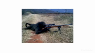 simp sniper_monkey yes_i'm_a_simp аббревиатура видео видосы винтовка долбоебизм жвотне обезьяна оружие откуда:metal_gear смехуёчки снайпер язык:английский // 1280x720, 12.7s // 1.3MB