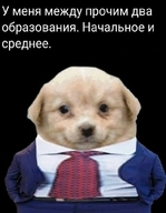 всрато два_образования долбоебизм жвотне костюм между_прочим начальное начальное_и_среднее образование первое_и_второе руки_в_карманах смехуёчки собакен среднее у_меня_между_прочим_два_образование язык:русский // 466x600 // 33KB