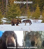 biznes_сделка а_теперь_можно_и_по_ржать волчара всрато долбоебизм жвотне лес лицом_к_лицу медвед по_ржать по_рукам природа смехуёчки снег таксидермия чучело язык:русский // 602x663 // 130KB