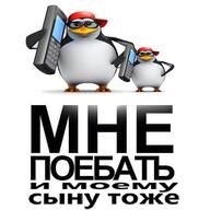 shutterstock stock_photos watermark головной_убор жвотне кепка мне_и_моему_сыну мне_поебать_и_моему_сыну_тоже очки пингвин пингвины поебать похуй смехуёчки телефон язык:русский // 600x600 // 80KB
