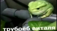 volume_warning видео виталя водопровод долбоебизм жвотне легущька листья на_трубе сидит сидит_на_трубе смехуёчки труба трубоёб_виталя турбо-фолк югославия язык:русский // 430x236, 9.3s // 315KB